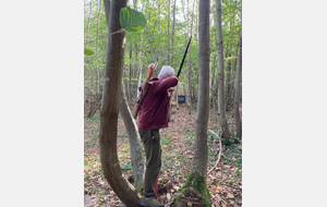 Journée rencontre avec les archers de Chatenay Malabry